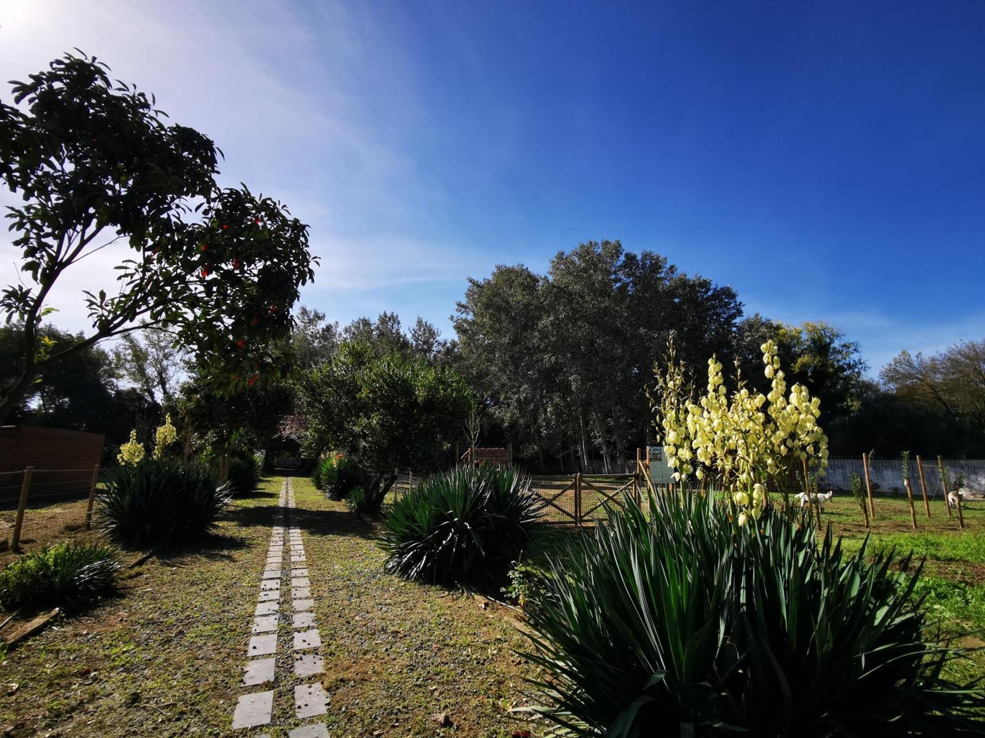 Quinta Do Louredo - Evora Villa Eksteriør billede